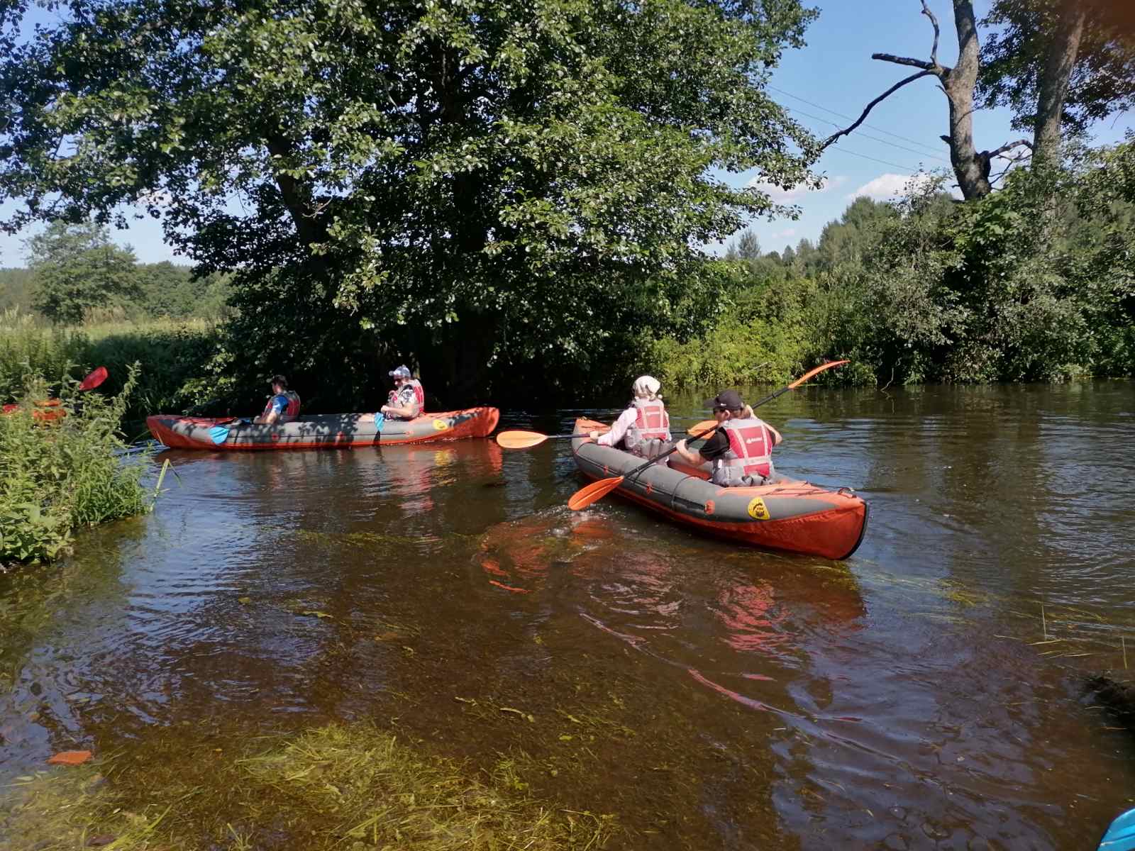 Изображение новости
