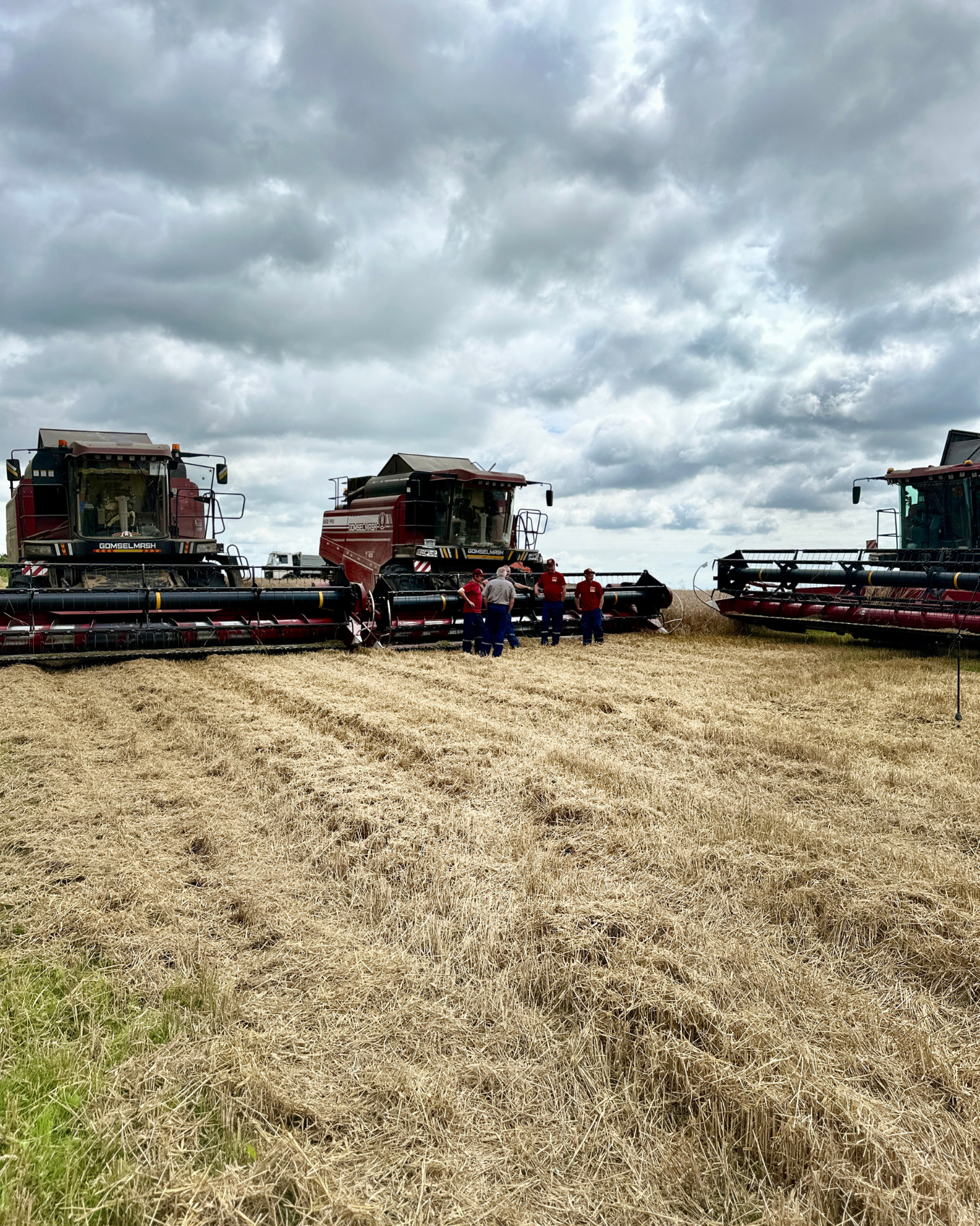 Изображение новости